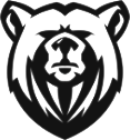 Black Bear Detailing
